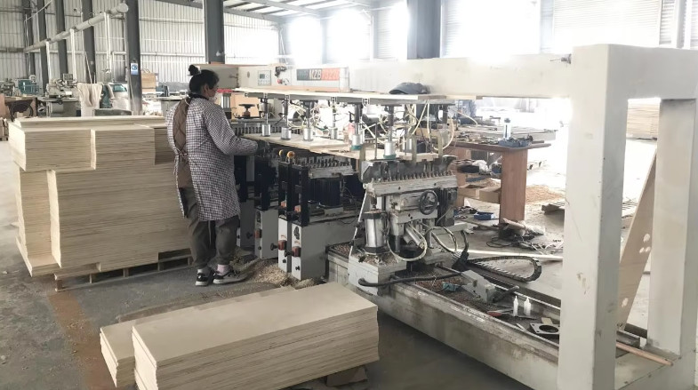 Qingdao Vitalucks Trade Co., Ltd. linea di produzione in fabbrica