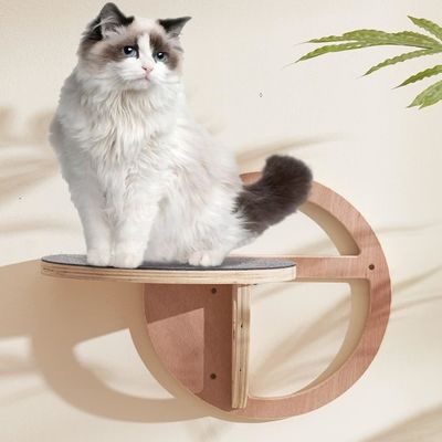 Eleganti scatole per imballaggi di vino, scalini da parete per gatti di legno, scalatori per l'entusiasmo.