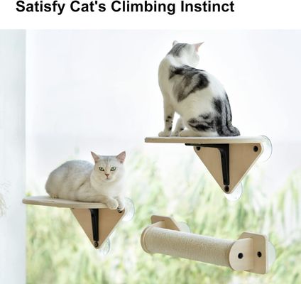 Home Arredamento Cat Climber Set Finestrino in legno Perch Scale di arrampicata