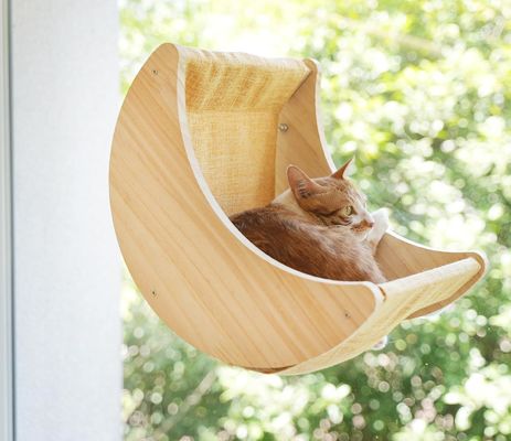 ISO9001 2008 Certificato FSCI BSCI Cat Hammock Mensole da letto montate con forti ventose