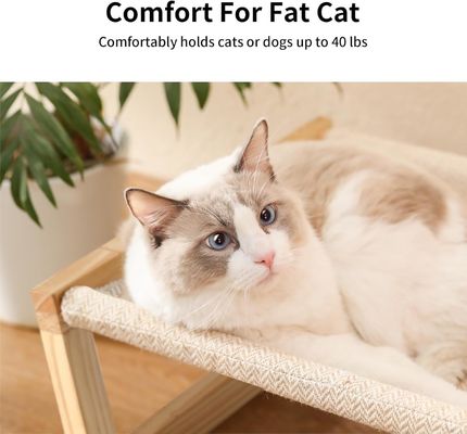 Imballaggio postale Y Amaca per gatti in legno 21 x 16,5 pollici Mobili per animali domestici elevati Colore in legno