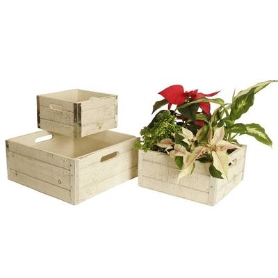 Casse di mele in legno non finite per l'artigianato Set di 3 casse di stampa personalizzate