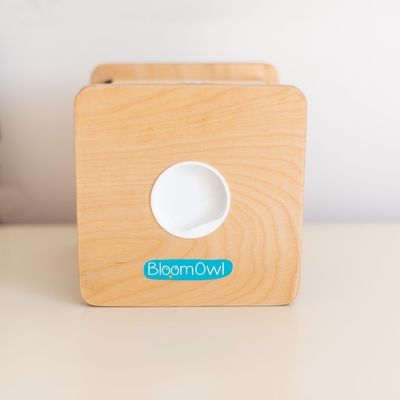 Banca di monete personalizzata in legno per bambini OEM ODM Acceptato Materiale di bambù eco-compatibile