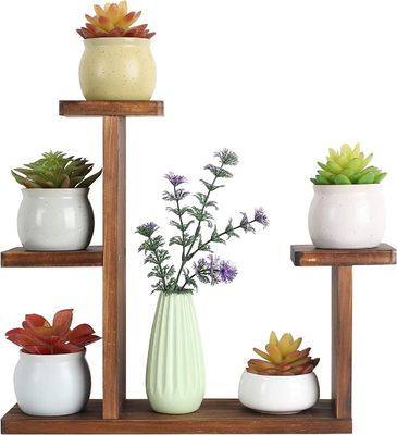 Salotto Display Rack per Erbe Succulente Quadrato Portante di Mensola Ambientale Fiore