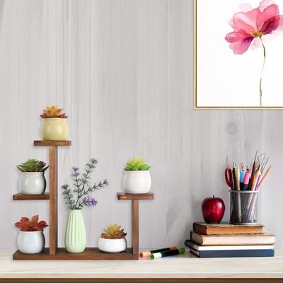 Salotto Display Rack per Erbe Succulente Quadrato Portante di Mensola Ambientale Fiore