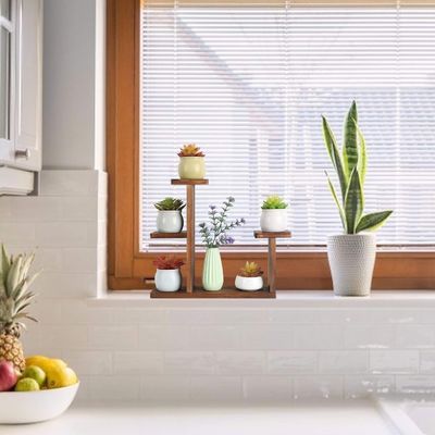 Salotto Display Rack per Erbe Succulente Quadrato Portante di Mensola Ambientale Fiore