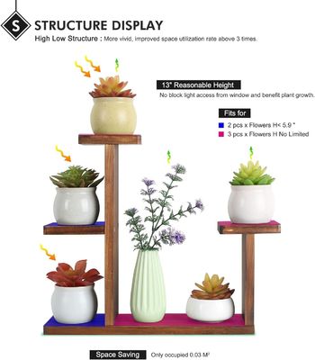 Salotto Display Rack per Erbe Succulente Quadrato Portante di Mensola Ambientale Fiore