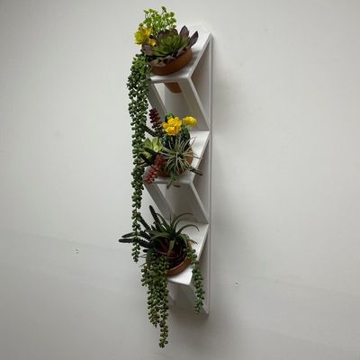 Succulente o orto di erbe Piantatore a parete di legno in bianco con logo personalizzato accettabile