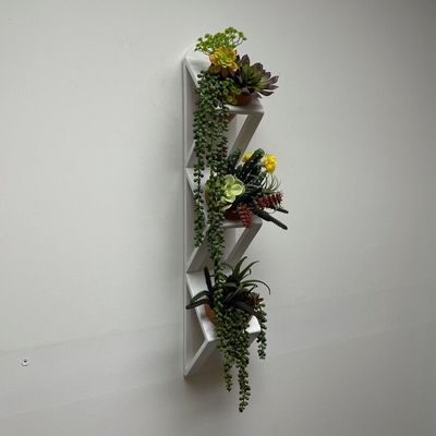 Succulente o orto di erbe Piantatore a parete di legno in bianco con logo personalizzato accettabile