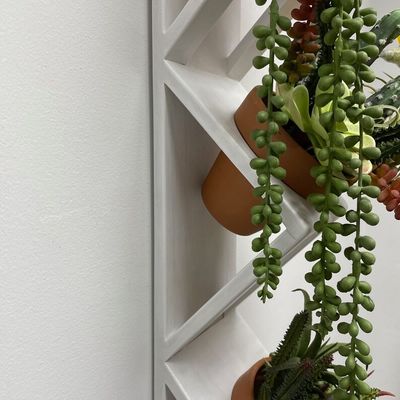 Succulente o orto di erbe Piantatore a parete di legno in bianco con logo personalizzato accettabile