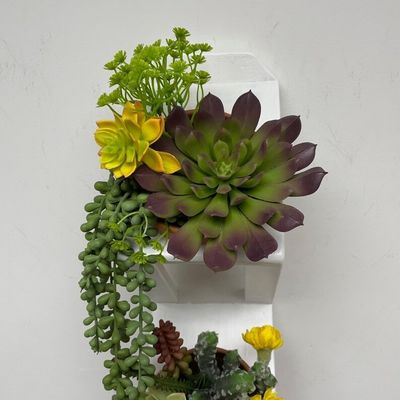 Succulente o orto di erbe Piantatore a parete di legno in bianco con logo personalizzato accettabile