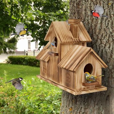 Casa per uccelli in legno a 3 buchi in esterno fatta a mano con legno per l'habitat del giardino