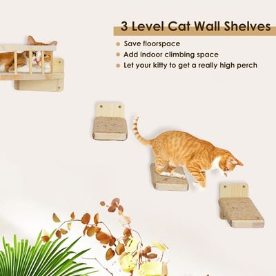 Colore macchiato ripiani per gatti e cullati Disegno in legno sostenibile ripiani per gatti