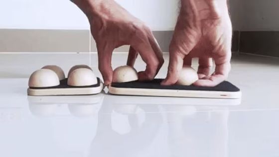 Tabella di bilanciamento per esercizi di piedi in legno per prevenire le arcate cadute Stile di design classico