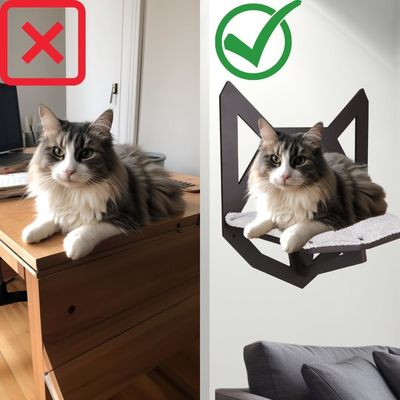 Funzione Risparmiare spazio Parete montata cat scaffale con scaffali posate e letto appeso