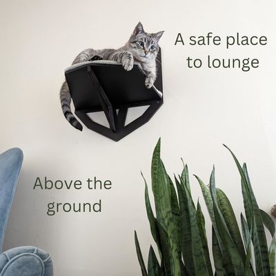 Funzione Risparmiare spazio Parete montata cat scaffale con scaffali posate e letto appeso