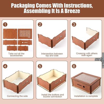 OEM/ODM Acceptabile Legno Risparmio di denaro Risparmiatore di denaro con colore naturale e standard