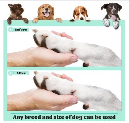 Risparmiare tempo e spazio 202407 Dog Scratch Pad Board per unghie