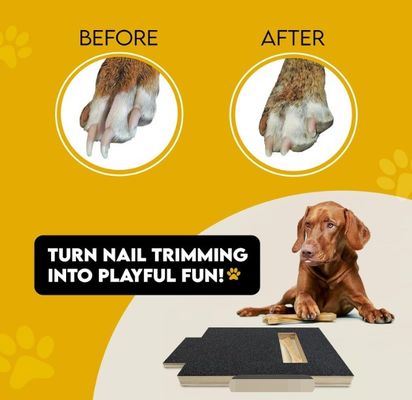 OEM Dog Scratch Pad Con Treat Box Dog Nail Scratch Board Con Maniglia Cat Scratching Board