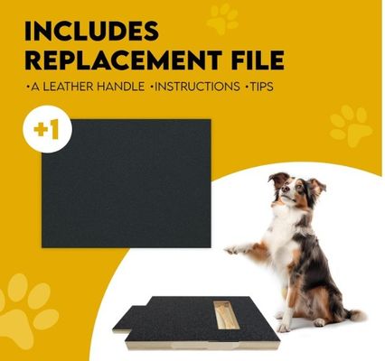 OEM Dog Scratch Pad Con Treat Box Dog Nail Scratch Board Con Maniglia Cat Scratching Board