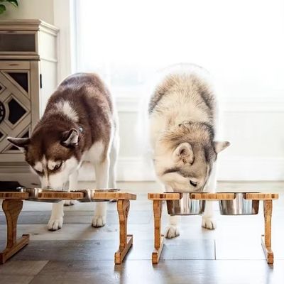 15 gradi di inclinazione Pet Bowl Stand personalizzato stampa in legno con laser incidere due ciotole rimovibili