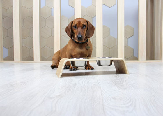 202407 Regalo per animali personalizzato Stand alimentare in legno con due ciotole in acciaio inossidabile