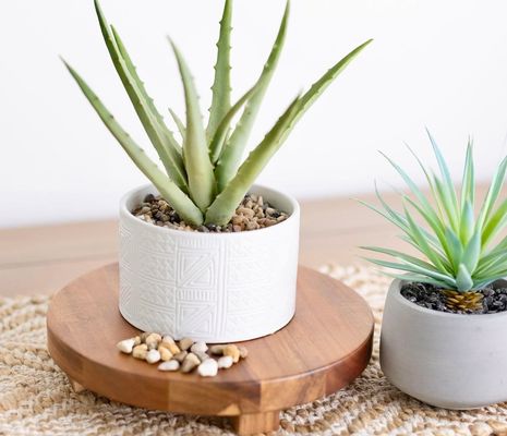 Acciaia Wood Riser Round Pedestal Riser Board Wood Pedestal Stand per espositori di cucina