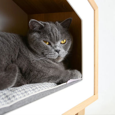 Casa per gatti all'interno Albero di legno di quercia Casa per gatti in colore legno naturale con contenitori di stoccaggio