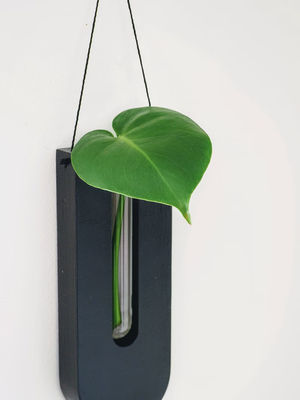 Stazione di moltiplicazione Moderna mini scatola di legno piantatrice da parete per portico e vasi di decorazione della parete