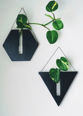 Stazione di moltiplicazione Moderna mini scatola di legno piantatrice da parete per portico e vasi di decorazione della parete