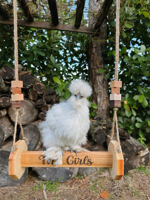 Giocattoli per polli Pergolato per gatti a muro adatto a gatti e animali