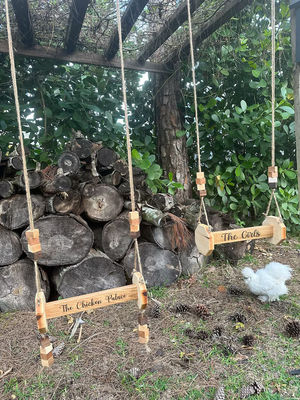 Giocattoli per polli Pergolato per gatti a muro adatto a gatti e animali