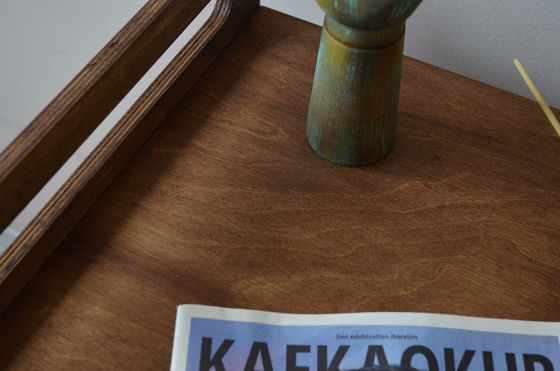 Cabina all'interno deve avere risparmiare spazio con la demolizione di lusso mobili in legno cassa per cani