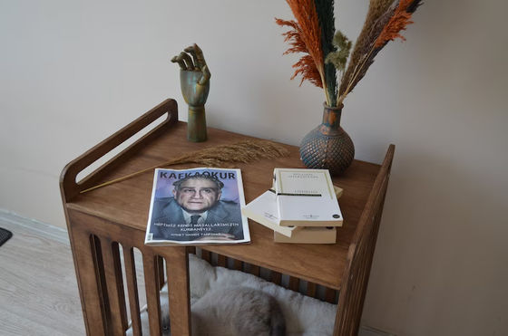 Cabina all'interno deve avere risparmiare spazio con la demolizione di lusso mobili in legno cassa per cani