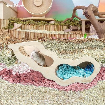 Campione Casa di criceto in legno gratuita con scala da arrampicata e galleria segreta