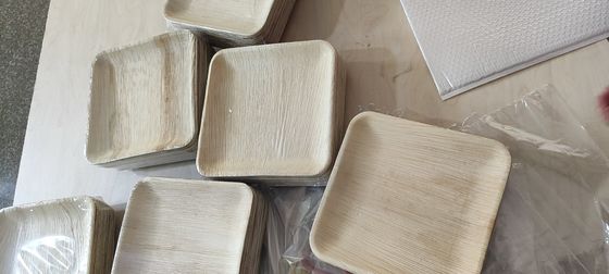 Eco-Friendly 20 Pack Biodegradable Palm Leaf Plates 10 Inch Square Robusto Come Bambù Disposable Elegante