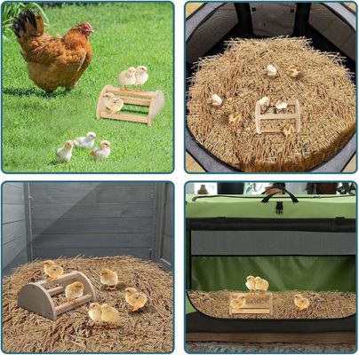 202405 Perch di uccello Bar di legno spessa e resistente per la coppia e l'incubatore