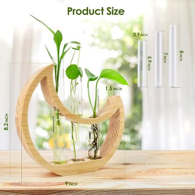 Tavola crescente di anniversario per piante d'appartamento e decorazioni per uffici