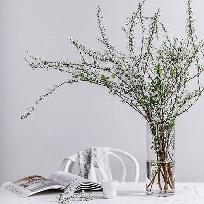 Vaso di vetro trasparente per decorazioni di ogni stagione di 10-20 cm di diametro