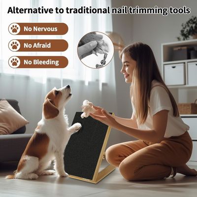 Scratch Pad per cani e gatti con copertura rimovibile e file da chiodo regolabile in diversa angolazione