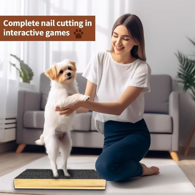 Scratch Pad per cani e gatti con copertura rimovibile e file da chiodo regolabile in diversa angolazione