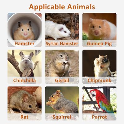 Piattaforma in piedi per criceti Esercizio di giocattoli accessori gabbia con tipo di chiusura push-up