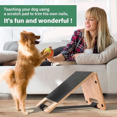 Preparazioni per la cura delle unghie per cani senza paura e risparmio di spazio