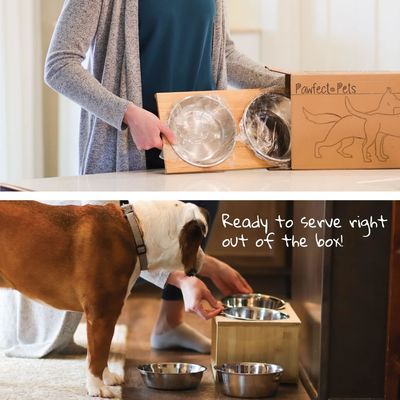 Mediano Dog Bowl elevato Stand 7 Bowl elevate Pet Feeder con quattro bowl in acciaio inossidabile