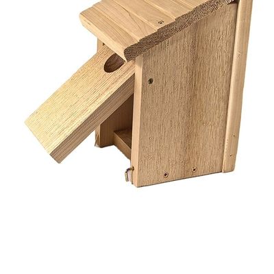Chiusura push-up Decorazione giardino a modello solido Casa di uccelli in legno con portico