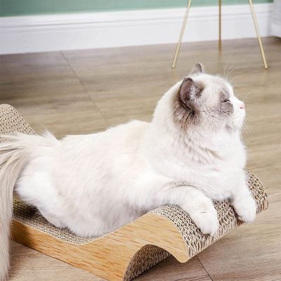 Giocattole per animali domestici personalizzate con grattacapo ondulato per gatti