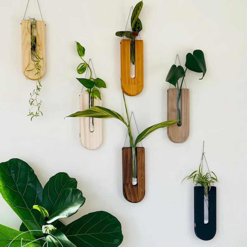 Stazione di propagazione in stile di design moderno per piantatrici a parete di legno e decorazioni domestiche