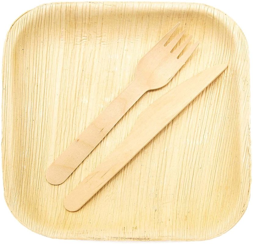 Eco-Friendly 20 Pack Biodegradable Palm Leaf Plates 10 Inch Square Robusto Come Bambù Disposable Elegante